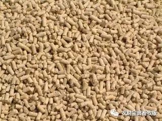 討要飼料款遇“神逆轉”，養殖戶反訴飼料致生豬死亡